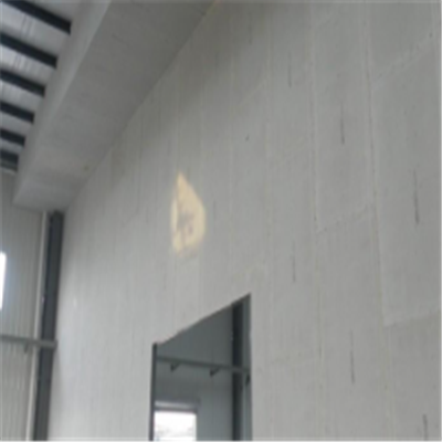 八公山新型建筑材料掺多种工业废渣的ALC|ACC|FPS模块板材轻质隔墙板